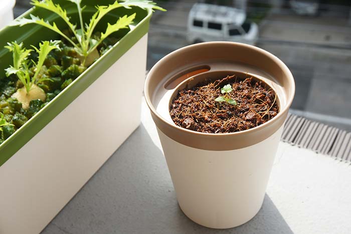 35％OFF】 水耕栽培用 ポット スポンジ 各30個セット プラスチック 水耕栽培キット 育成ポット 水耕栽培鉢 室内 キッチン 野菜作り 